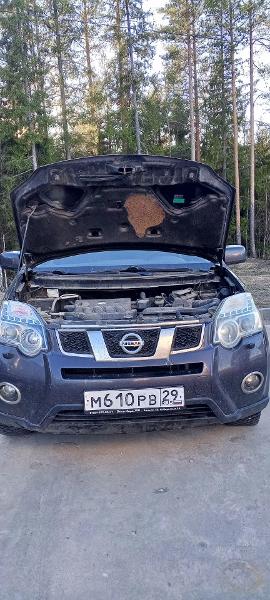 Транспортное средство Nissan X-Trail, 2011 года выпуска, цвет - фиолетовый серо-сиреневый, VIN Z8NTNBNT31BS038320, государственный номер М610РВ29 (имущество находится в залоге)