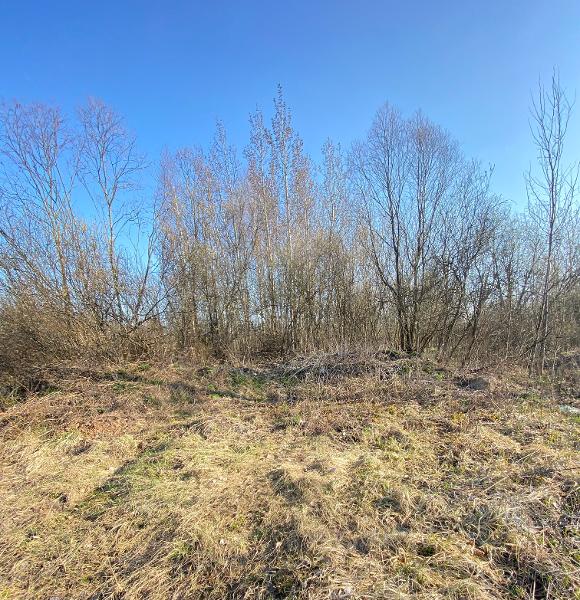 Вторичные. Лот № 1. 1/3 доля в праве собственности на земельный участок площадью 600 ± 5 кв. м, кадастровый номер 53:23:8014315:98, категория земель - земли населенных пунктов, вид разрешенного использования - для индивидуального жилищного строительства. Местоположение установлено относительно ориентира, расположенного за пределами участка. Почтовый адрес ориентира: Новгородская обл., г. Великий Новгород, ул. Псковская, з/у 1070. Должник (собственник) - ИП Веселов Д.В.