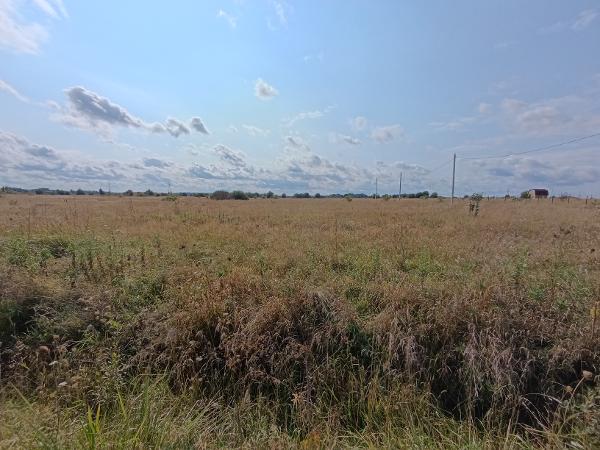 Вторичные. Лот № 3. Земельный участок площадью 1500 ± 14 кв. м, кадастровый номер 53:21:0010101:466, категория земель - земли населенных пунктов, вид разрешенного использования - для ведения личного подсобного хозяйства. Местонахождение: Новгородская обл., Шимский р-н, г.п. Шимское, д. Бор, ул. Дачная, з/у 22. Основание для реализации на торгах - Постановление о передаче арестованного имущества на торги от 22 сентября 2025 г. Должник (собственник) - ИП Балкаров Р.Б. Исполнительное производство №