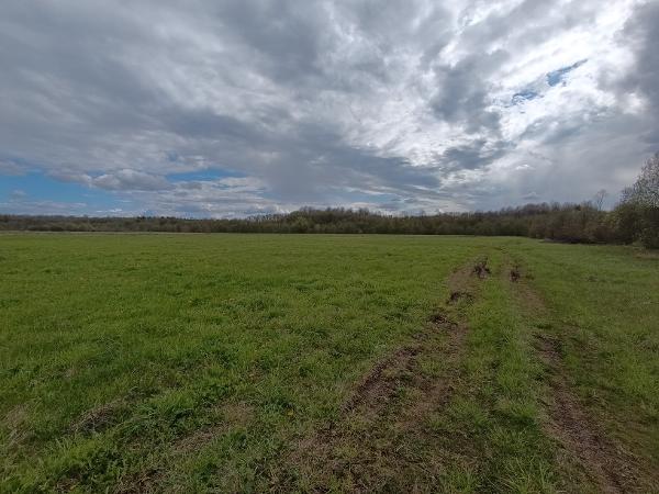 Вторичные. Лот № 4. Земельный участок площадью 984 ± 11 кв. м, кадастровый номер 53:11:1300102:675, категория земель - земли населенных пунктов, вид разрешенного использования - для ведения личного подсобного хозяйства. Местонахождение: Новгородская обл., Новгородский р-н, с.п. Трубичинское, д. Некохово, ул. Славная, з/у 80. Основание для реализации на торгах - Постановление о передаче арестованного имущества на торги от 22 сентября 2025 г. Должник (собственник) - ИП Круглова Н.Ю.