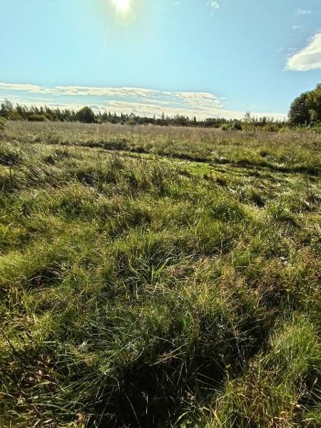 Лот № 5 (вторичные). Земельный участок площадью 2200 ± 33 кв. м, кадастровый номер 60:18:0111401:198. Местоположение установлено относительно ориентира, расположенного в границах участка. Почтовый адрес ориентира: Псковская обл., Псковский р-н, СП «Логозовская волость», д. Малая Листовка. Категория земель – земли населенных пунктов. Вид разрешенного использования – для ведения личного подсобного хозяйства. Должник (собственник) – Кочетков С.А.