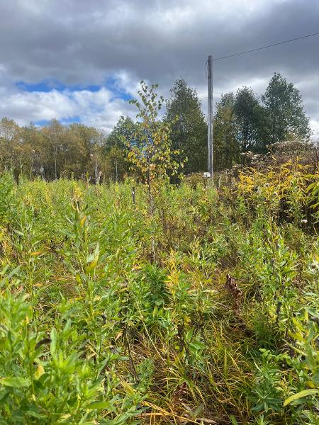 Земельный участок площадью 600 кв. м, декларированная площадь, кадастровый номер 41:05:0101040:995, категория земель - земли населенных пунктов, вид разрешенного использования - садоводство, для ведения гражданами садоводства и огородничества, местонахождение: Камчатский край, Елизовский р-н, снт Солнечный, ПСО «Камчатгражданстрой», р-н Кеткино. !!!Граница земельного участка не установлена в соответствии с требованиями земельного законодательства!!!