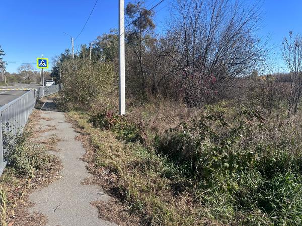 Земельный участок площадью 1500 кв. м, кадастровый номер 27:08:0010617:317, вид разрешенного использования - для ведения личного подсобного хозяйства, местонахождение: примерно в 227 м. по направлению на северо-восток от ориентира (жилое здание), расположенного за пределами участка, адрес ориентира: Хабаровский край, р-н им. Лазо, с. Георгиевка, ул. Центральная, д. 128.