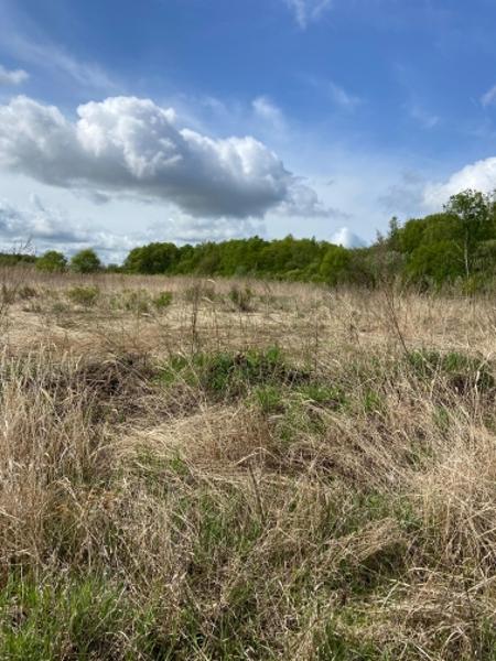 Земельный участок площадью 1020 кв. м, кадастровый номер 27:17:0329204:1912, вид разрешенного использования - для строительства индивидуального жилого дома, местонахождение: Хабаровский край, Хабаровский р-н, с. Гаровка-1, ул. Тихая, уч. 3.