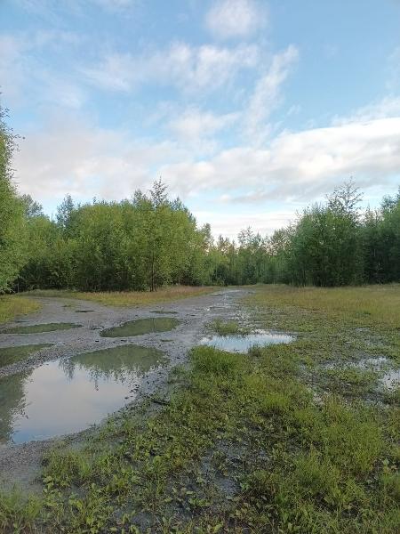 Нежилое здание (пожарное депо (гараж)) площадью 401,6 кв. м, кадастровый номер 27:05:0604001:325; сооружение (высоковольтная линия) протяженностью 679 м, кадастровый номер 27:05:0604001:88; подъездная автодорога протяженностью 862 м, кадастровый номер 27:05:0604001:95 местонахождение: Хабаровский край, Верхнебуреинский р-н, п. ЦЭС, ул. Нефтебазовая, д.1.