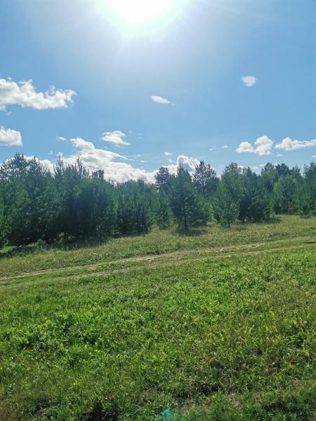 Земельный участок площадью 130084 кв. м, кадастровый номер 03:09:660101:243, категория земель - земли сельскохозяйственного назначения, вид разрешенного использования - для сельскохозяйственного производства. Местоположение: Республика Бурятия, Кабанский р-н.