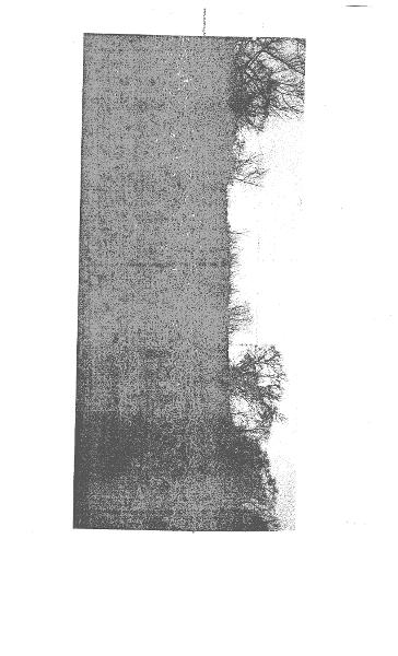 Земельный участок площадью 1500 кв.м. с кадастровым номером 25:10:011903:322