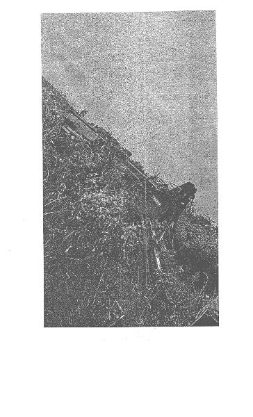 Сеялка точного высева John Deere DB37