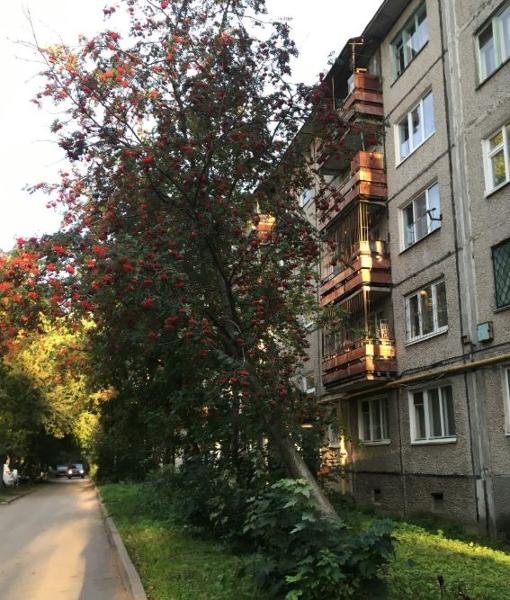 Комната, общ.пл.23,5кв.м. кад.№59:01:0000000:74860, соб-к: Кузнецов Д.Г., адрес: г. Пермь, ул. Солдатова, 11-103 (Сведения о зарегистрированных лицах и капремонте отсутствуют).