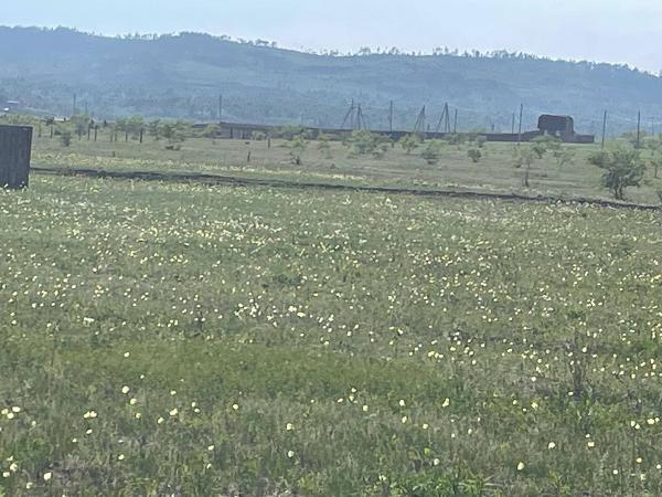1/3 доля в праве на земельный участок, категория земель: земли населенных пунктов, виды разрешённого использования: для индивидуального жилищного строительства, расположенный по адресу: Местоположение установлено относительно ориентира, расположенного в границах участка, Почтовый адрес ориентира:  Забайкальский край,  г. Чита, пер. Шерловый, кадастровый номер 75:32:040333:1442, площадью 963 +/- 11 кв.м. На участке постройки и сооружения отсутствуют
