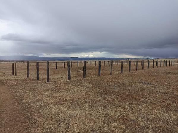 Земельный участок, категория земель: земли населенных пунктов, виды разрешённого использования: для индивидуального жилищного строительства, расположенный по адресу: Местоположение установлено относительно ориентира, расположенного в границах участка, Почтовый адрес ориентира:  Забайкальский край,  г. Чита ул. Малахитовая, кадастровый номер 75:32:040333:1542, площадью 1 288 +/- 12,56 кв.м. На участке постройки и сооружения отсутствуют