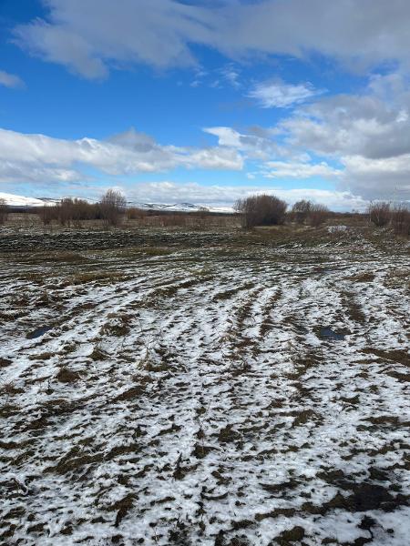 Земельный участок, категория земель: земли населенных пунктов, виды разрешённого использования: для ведения личного подсобного хозяйства, расположенный по адресу: Местоположение установлено относительно ориентира, расположенного в границах участка, Почтовый адрес ориентира:  Забайкальский край,  Читинский  р-он, с. Верх-Чита, ул. Желанная, 11, кадастровый номер 75:22:650901:296, площадью 888 +/- 10 кв.м. На участке постройки и сооружения отсутствуют, участок не огорожен