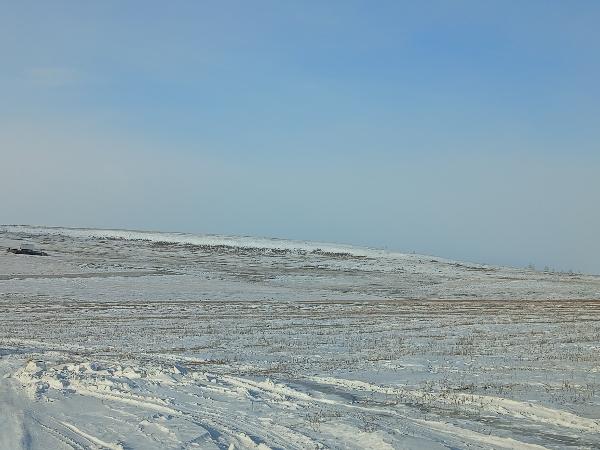 Земельный участок, категория земель: земли населенных пунктов, виды разрешённого использования: для индивидуального жилищного строительства, расположенный по адресу: Местоположение установлено относительно ориентира, расположенного в границах участка, Почтовый адрес ориентира: Забайкальский край, р-н Агинский, п. Агинское, мкр. Автодром, квартал 3, участок 31, кадастровый номер 80:01:050301:924, площадью 1 000 +/- 11 кв.м. На участке постройки и сооружения отсутствуют