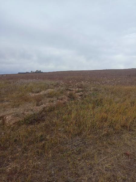 Земельный участок, категория земель: земли населенных пунктов, виды разрешённого использования: для индивидуального жилищного строительства, расположенный по адресу: Забайкальский край, р-он Могойтуйский, пгт. Могойтуй, ул. 8 марта, 54, кадастровый номер 80:02:010104:576, площадью 1 000 +/- 11 кв.м. На участке постройки и сооружения отсутствуют, не огорожен.