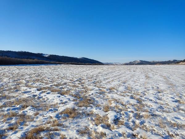 Земельный участок, категория земель: земли сельскохозяйственного назначения, виды разрешённого использования: для сельскохозяйственного использования, расположенный по адресу: Местоположение установлено относительно ориентира, расположенного в границах участка, Почтовый адрес ориентира: Забайкальский край, Акшинский район, кадастровый номер 75:01:190105:319, площадью 210 000 +/- 4010 кв.м.