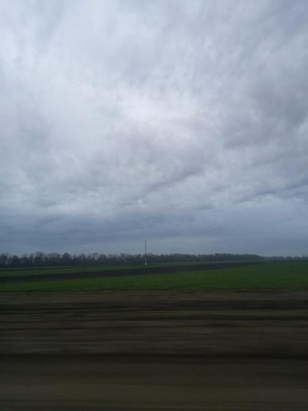 Д-к: Бедрина Л.И. 1/53 доли на праве общедолевой собственности на земельный участок (для сельскохозяйственного производства), площадь 2468060 кв.м., кадастровый номер 23:23:1401000:77. Адрес: Краснодарский край, Отрадненский район, в границах СПК колхоз «Имени Мичурина». Границы земельного участка не установлены в соответствии с требованиями земельного законодательства. Начальная цена 645 000 руб., задаток 96 750 руб., шаг аукциона 6 450 руб., ув. 135