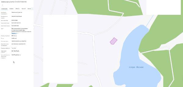 Земельный участок - земли населенных пунктов, площадь 680+/-7 кв.м., к/н: 54:35:071600:116. Адрес: Местоположение установлено относительно ориентира, расположенного в границах участка. Ориентир СНТ "Труд", участок № 272. Почтовый адрес ориентира: г. Новосибирск, ш. Гусинобродский тракт, 2 (арест, повтор)