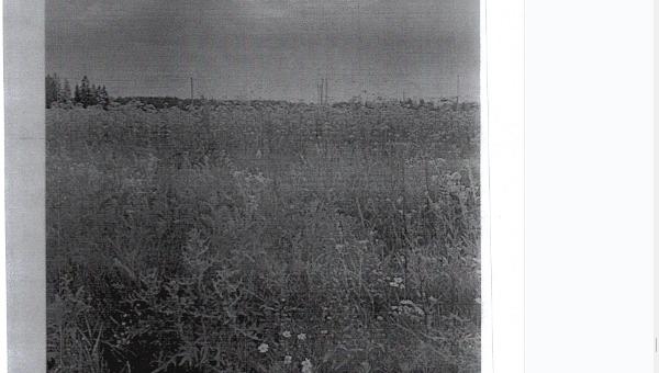 Зем.уч., общ.пл. 984 +/- 11 кв.м., к/н: 50:18:0050116:572, адрес: МО, Можайский р-н. П.801-ТАИ от 11.12.25. Собств: Дибирасулов Ш.О. Взыск: ПАО Сбербанк. Цена: 312 800,00 р.