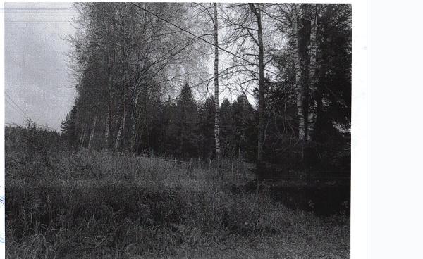 Зем.уч., общ.пл. 700 +/-19 кв.м., к/н: 50:24:0080105:210, адрес: МО, Орехово-Зуевский р-н, сп. Соболевское, д. Асташково, ул. Сосновая, уч. 15а. П.774-ТАИ от 08.12.25. Собств: Черняк М.В. Взыск: ООО «Мотовэлв». Цена: 646 000,00 р.