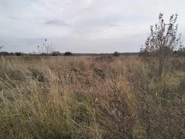 (повт) Д-к Пшеничная Я.А. З/у пл. 18687 кв.м, КН 23:30:1203000:1111, местоположение установлено относительно ориентира, расположенного в границах з/у. Почтовый адрес ориентира: КК, Темрюкский р-н, в 1700 метрах южнее автодороги Темрюк-Краснодар. Обременение: арест, н/ц 1 718 360,00 руб., з-к 343 672,00 руб., ш/а 17 184,00 руб.