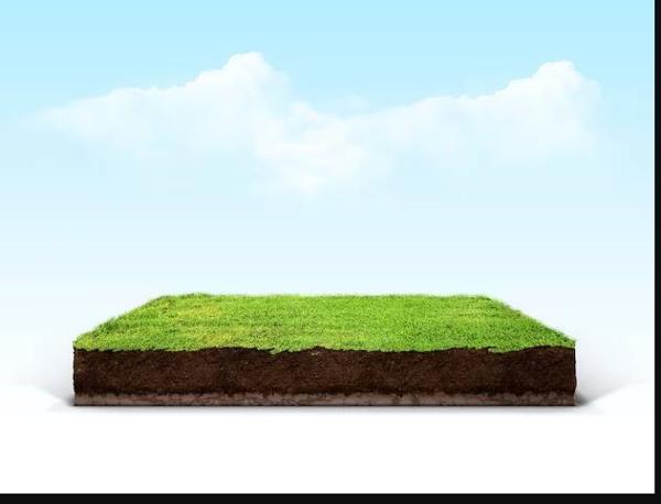 Поручение № 3128/Т. Земельный участок, площадью 1500 кв.м., кадастровый помер 42:10:0205008:1915, ограничение (обременение) права: запрет. Собственник имущества: Араксин А.А. Местонахождение имущества: Кемеровская область, Прокопьевский район, СХПК "Зенковский".